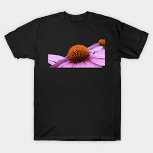 Cone Flower or Echinacea T-Shirt